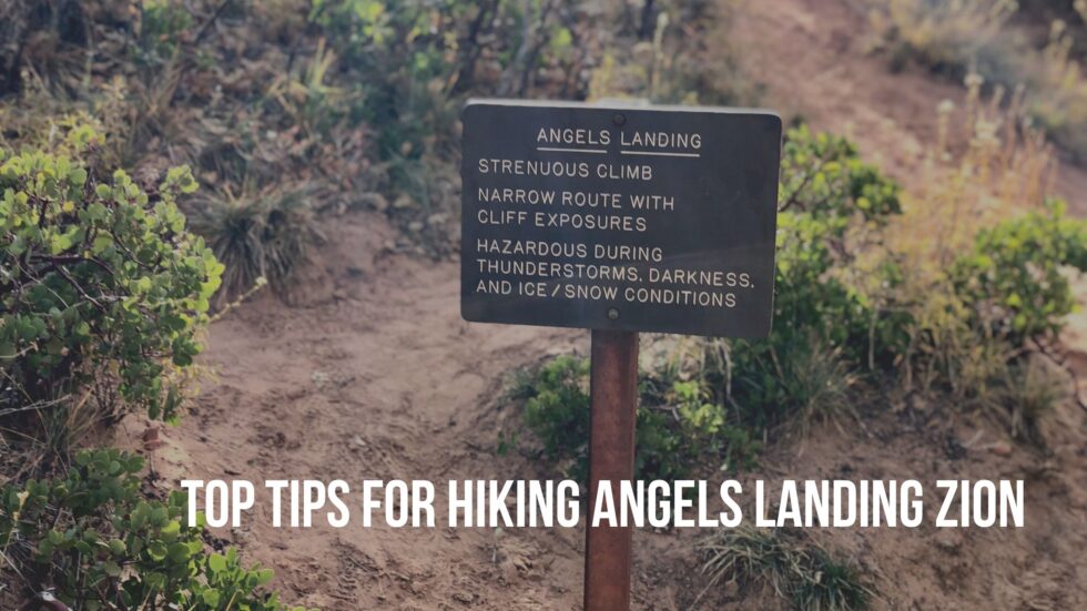 Conquer Angels Landing Zion: Essential Tips For A Safe Hike