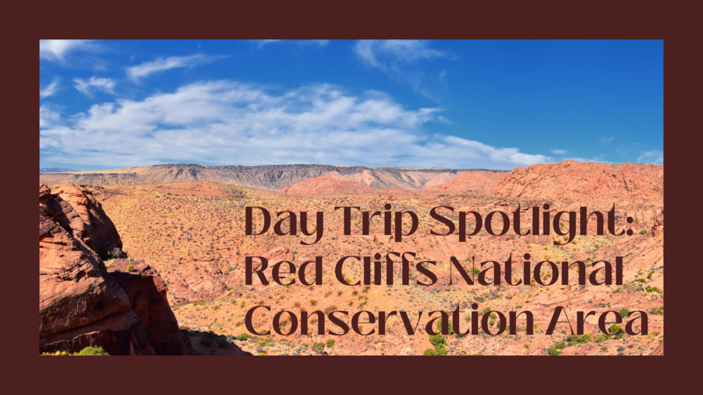 Scenic view of Red Cliffs National Conservation Area.