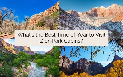 What’s the Best Time of Year to Visit Zion Park Cabins?