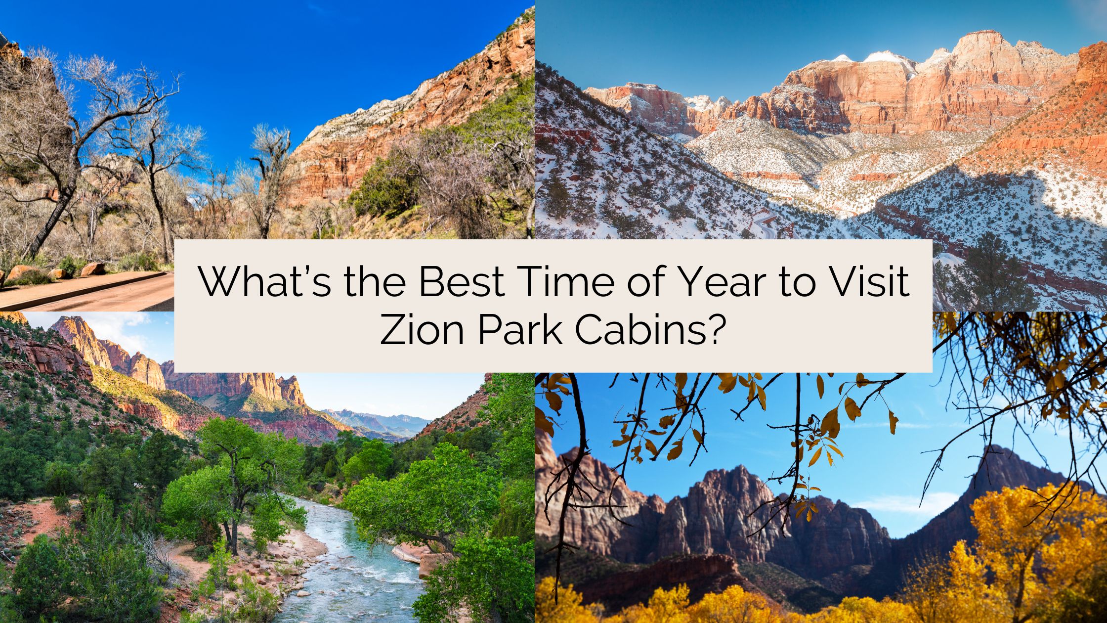 Zion National Park seasonal guide collage.