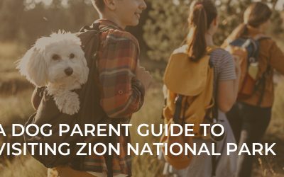 A Dog Parent Guide to Visiting Zion National Park