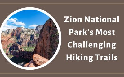 Zion National Park’s Most Challenging Hiking Trails