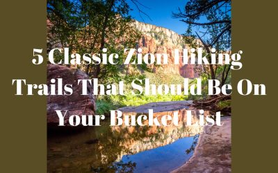 5 Classic Zion Hiking Trails That Should Be On Your Bucket List