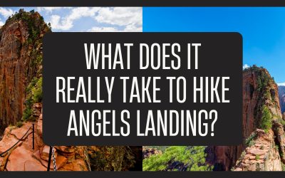 What Does it Really Take to Hike Angels Landing?
