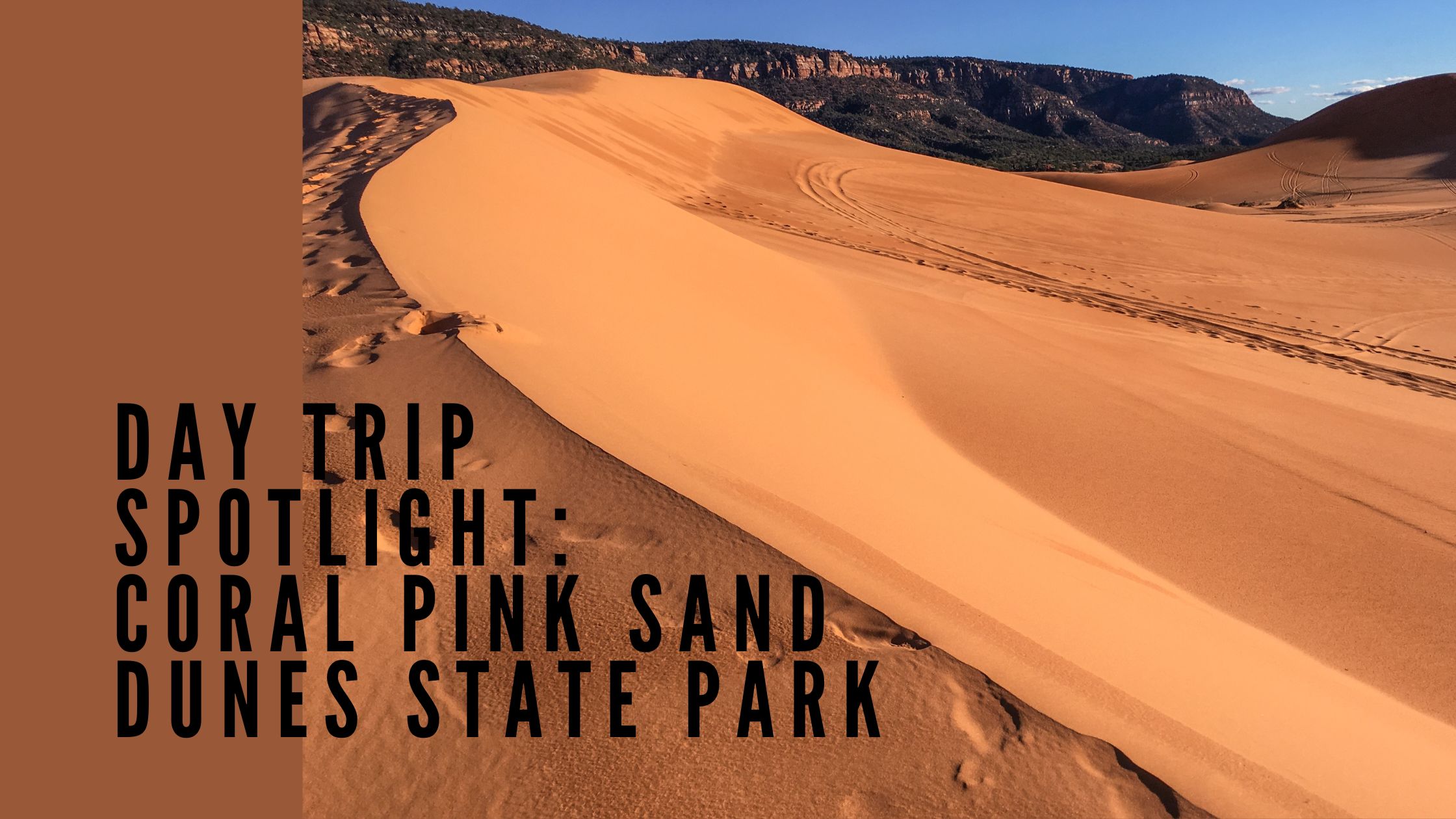 Coral Pink Sand Dunes State Park scenic dunes landscape